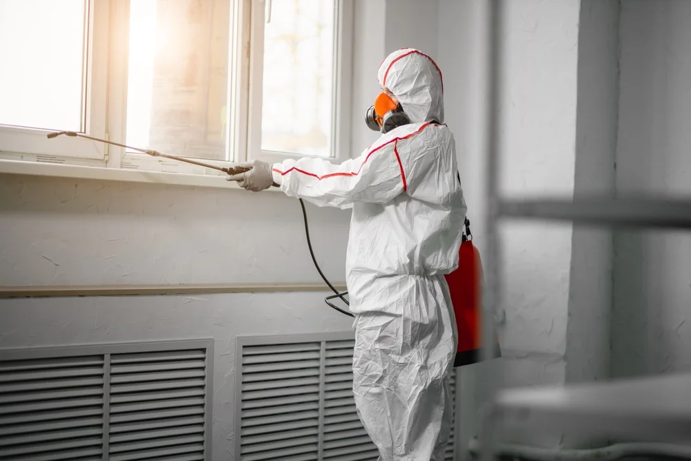 Professional mold remediation services in Montverde, FL